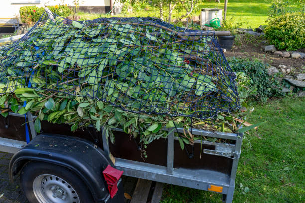 Best Shed Removal  in Van Alstyne, TX